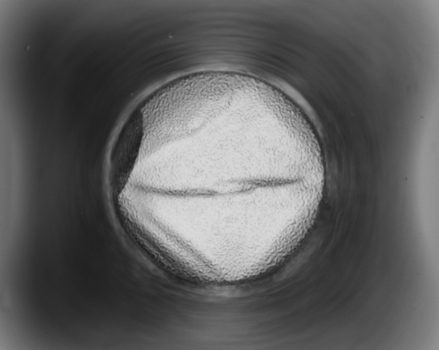 X0000087561096200705251755
