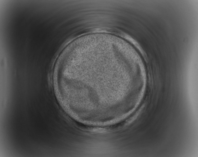X0000087561097200705251755
