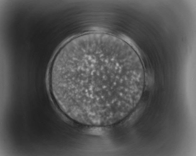 X0000087561098200705251755