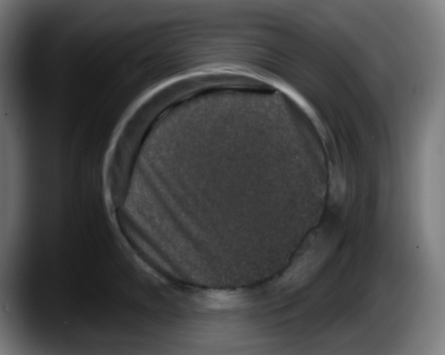 X0000087561102200705251755