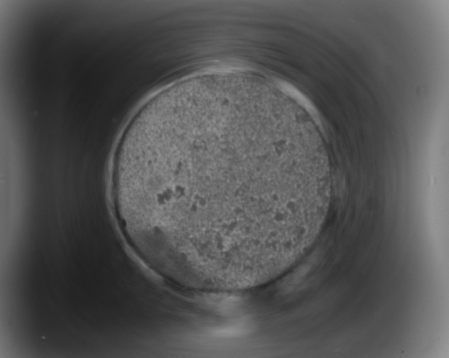 X0000087561103200705251755