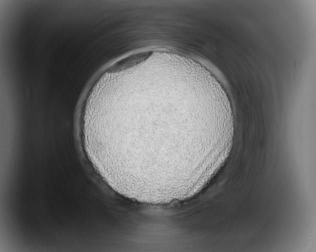 X0000087561104200705251755