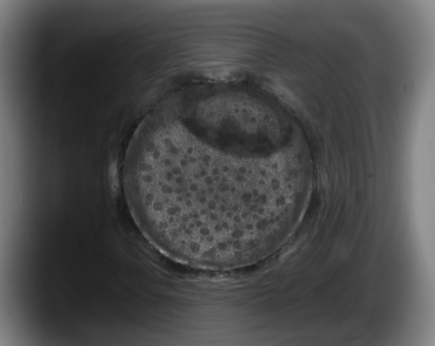 X0000087561106200705251754