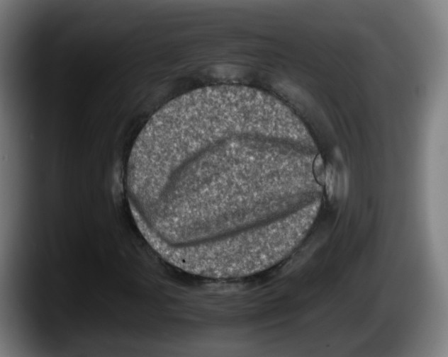 X0000087561107200705251754