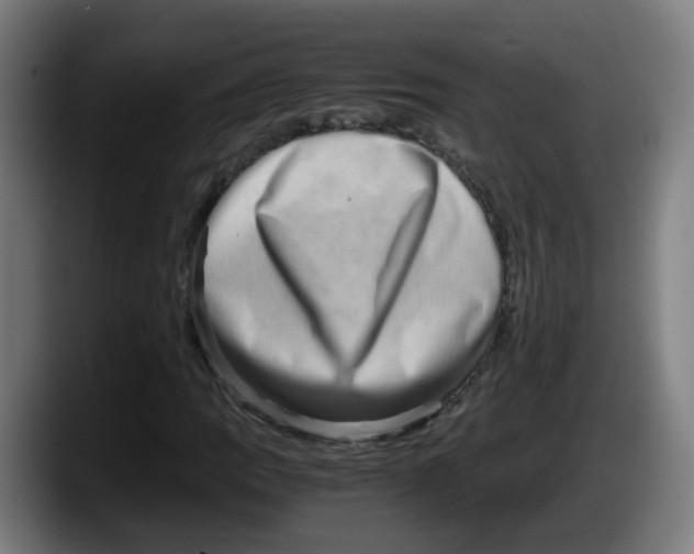 X0000087561109200705251754