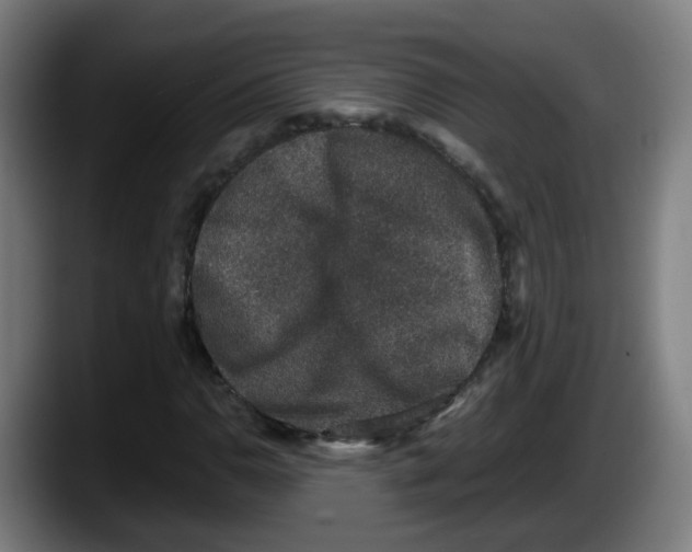 X0000087561110200705251754