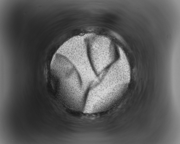 X0000087561111200705251754