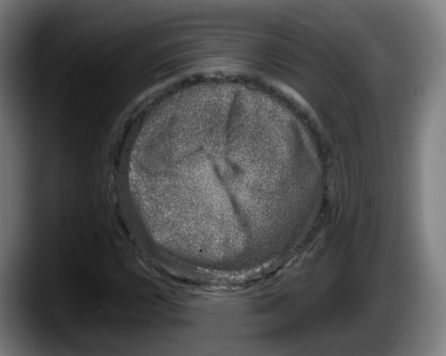 X0000087561112200705251754