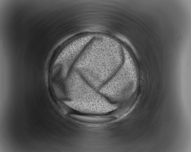 X0000087561114200705251754