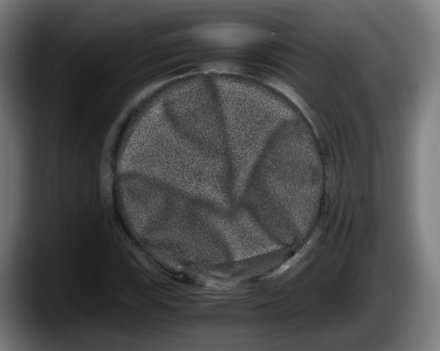 X0000087561115200705251754