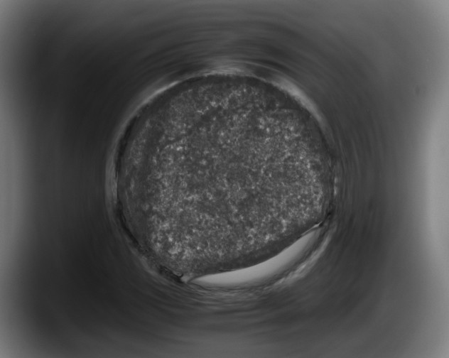 X0000087561117200705251754