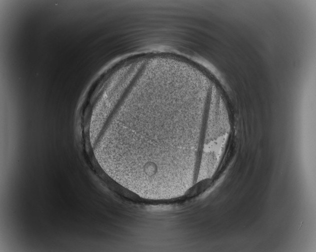 X0000087561118200705251754