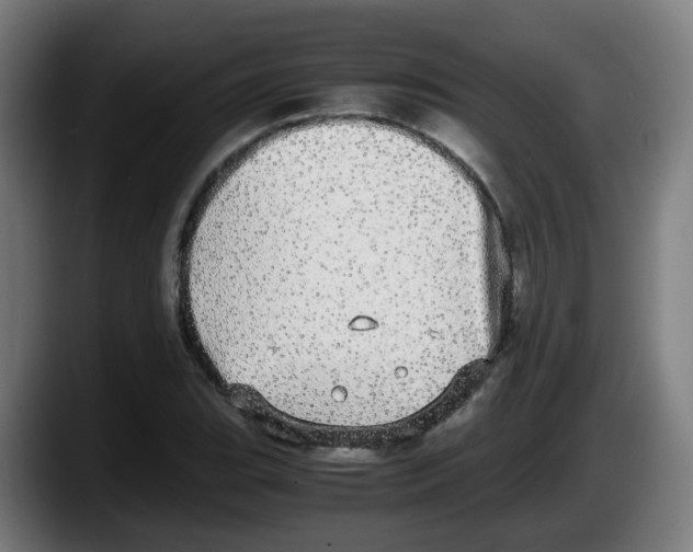 X0000087561119200705251755