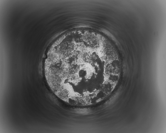 X0000087561121200705251755