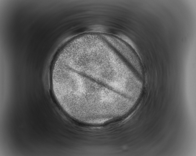 X0000087561123200705251755