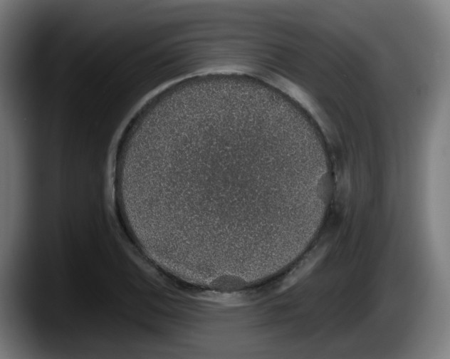 X0000087561124200705251755