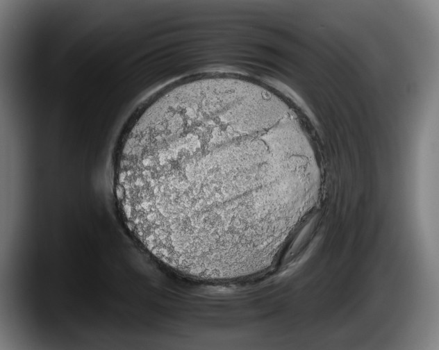 X0000087561125200705251755