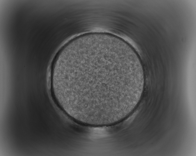 X0000087561126200705251755