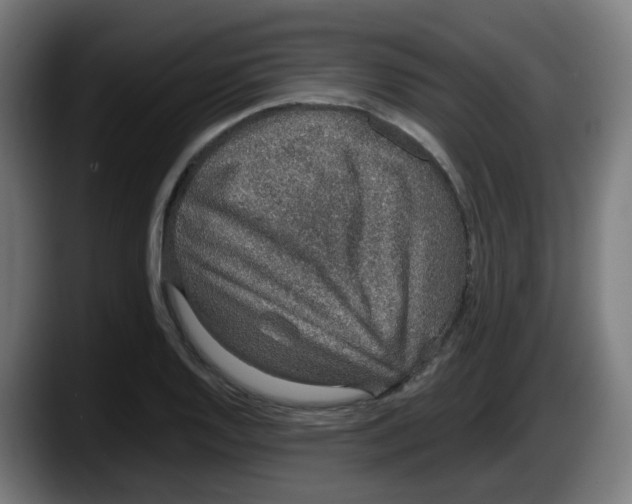 X0000087561128200705251755