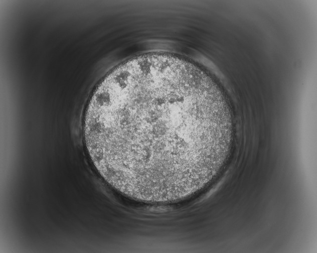 X0000087561129200705251755