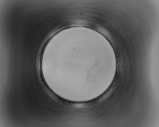 X0000087561130200705251755