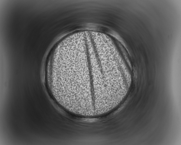 X0000087561131200705251755