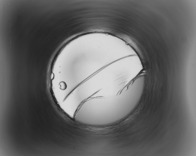 X0000087561132200705251755