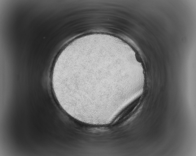 X0000087561133200705251755