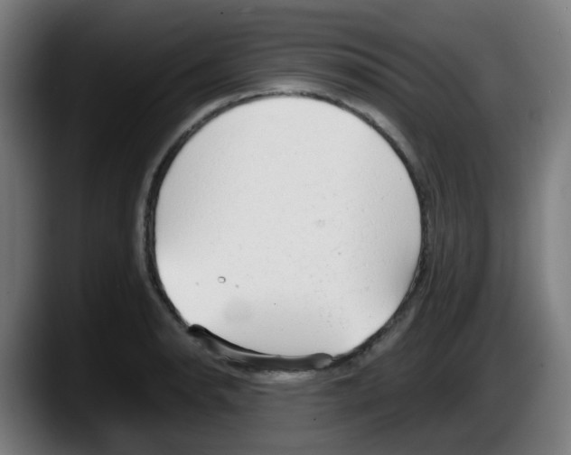 X0000087561134200705251755