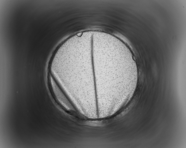 X0000087561135200705251755