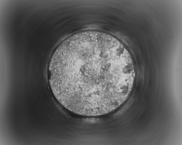 X0000087561137200705251755