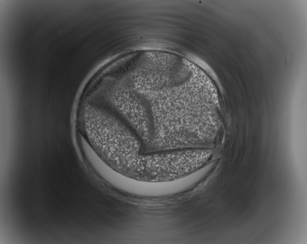 X0000087561138200705251755