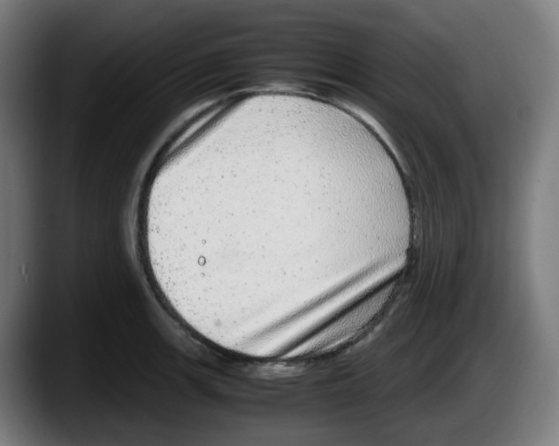 X0000087561139200705251755