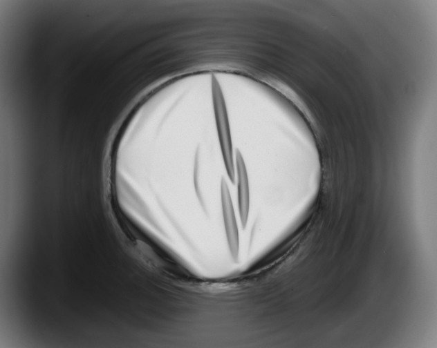 X0000087561140200705251755
