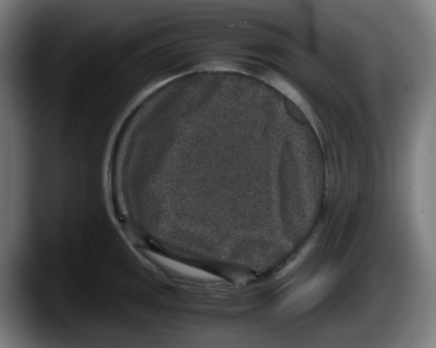 X0000087561141200705251755