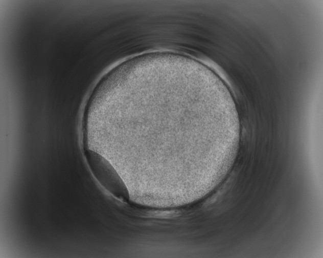 X0000087561143200705251755