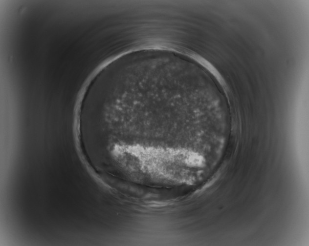 X0000087561144200705251755