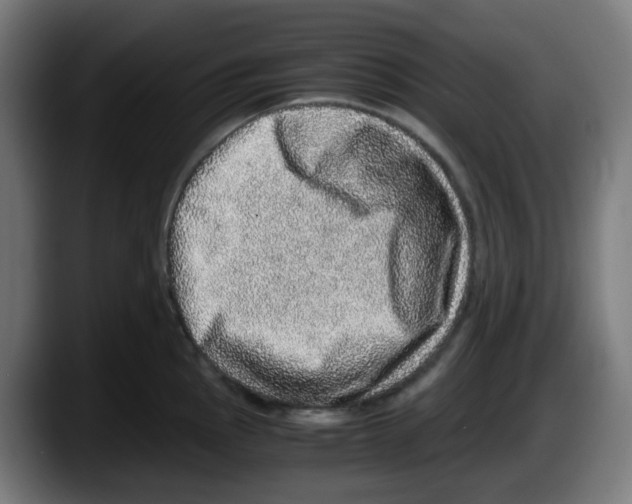 X0000087561145200705251755