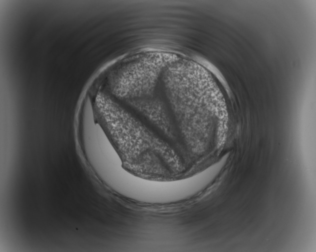X0000087561146200705251755