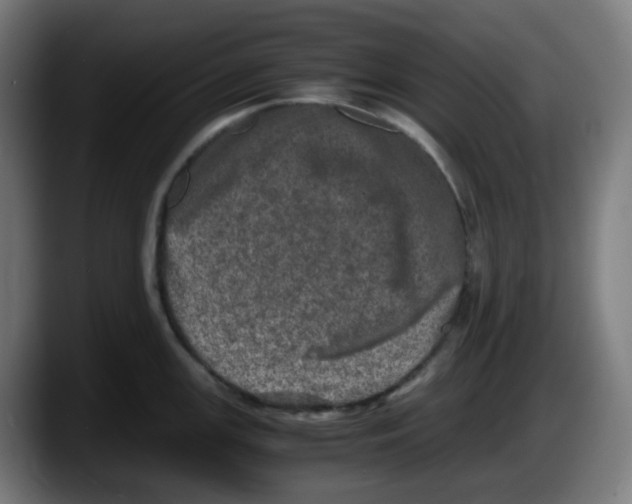 X0000087561147200705251755
