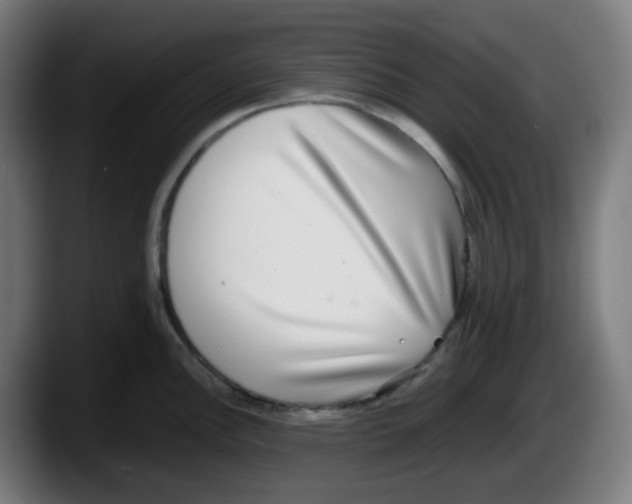 X0000087561148200705251755