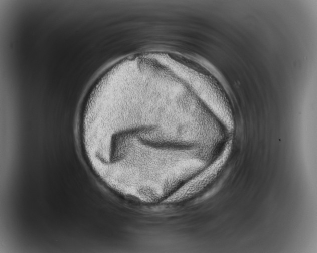 X0000087561149200705251755