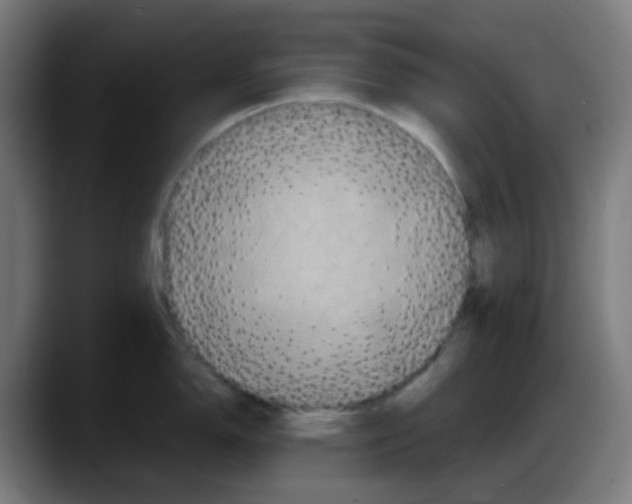 X0000087561150200705251755