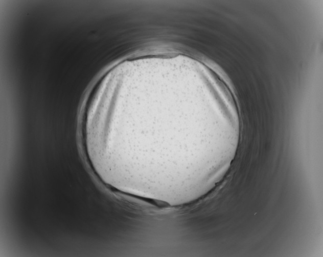 X0000087561152200705251755