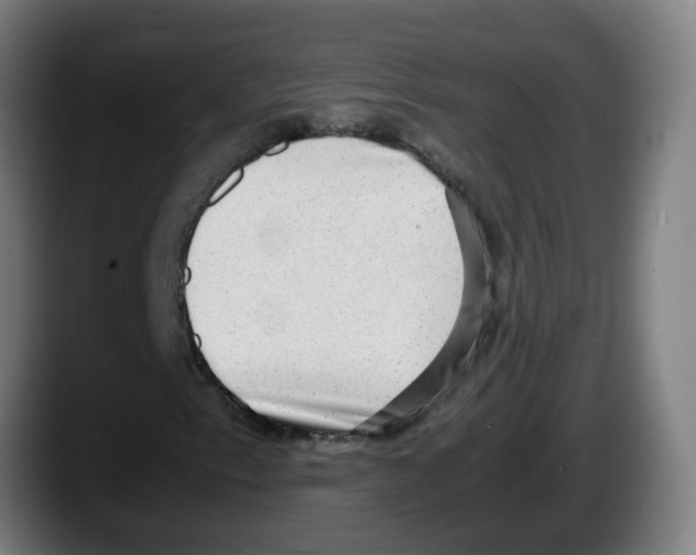 X0000087561153200705251754