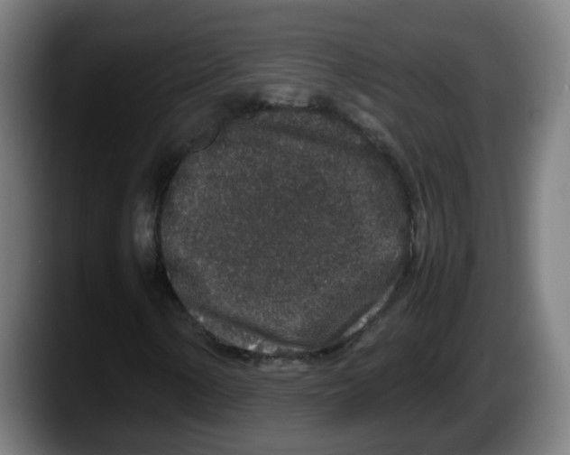 X0000087561154200705251754