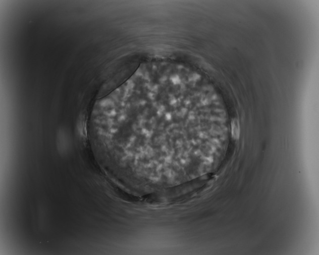 X0000087561155200705251754