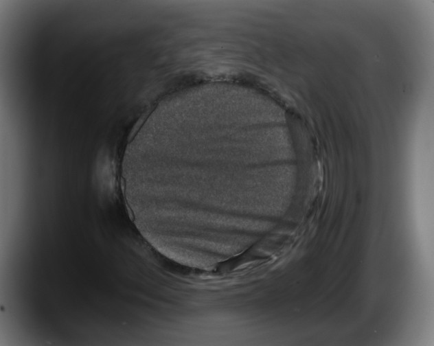 X0000087561156200705251754