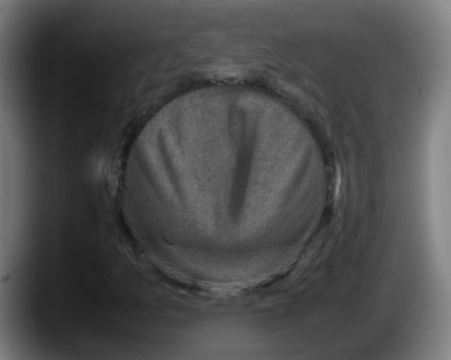X0000087561157200705251754