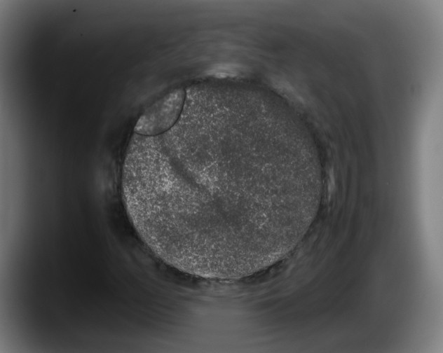 X0000087561158200705251754